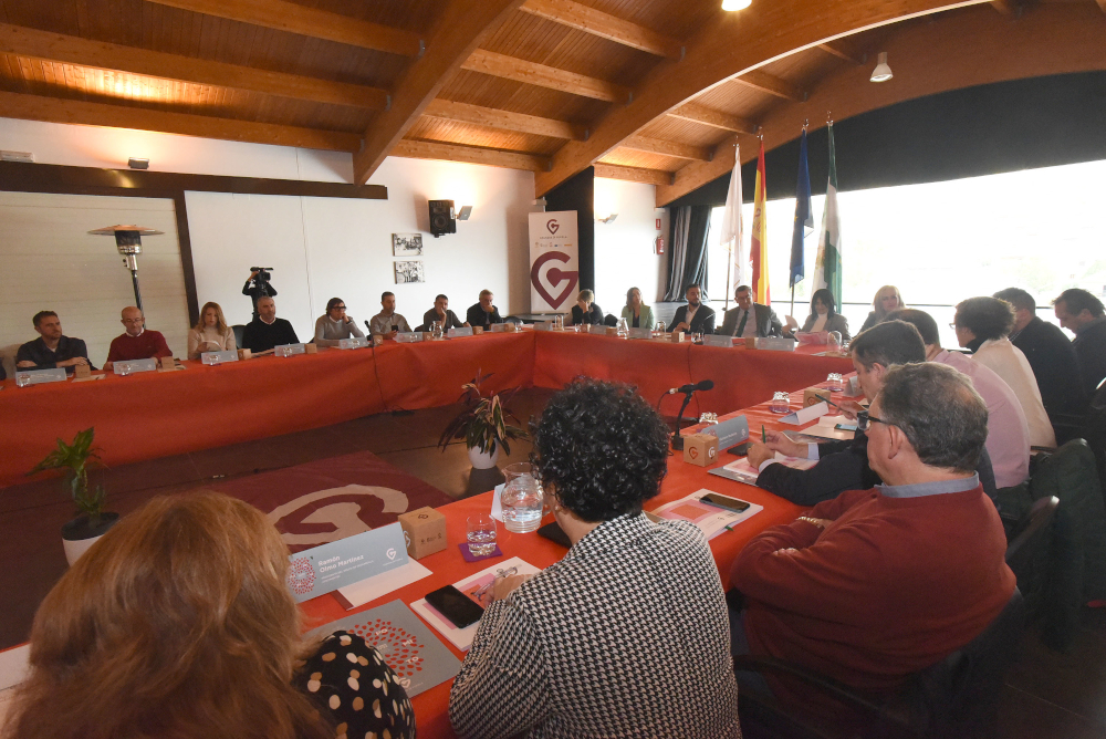 Diputación constituye la Mesa Provincial para Revertir la Despoblación con la participación de instituciones y agentes económicos y sociales